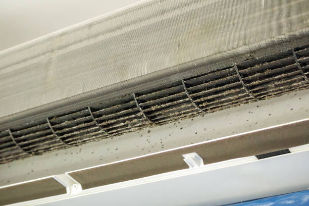 Best Dryer Vent Cleaning Services  in Madisonville, KY